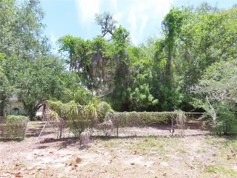 Mayo Crystal Beach FL 34681