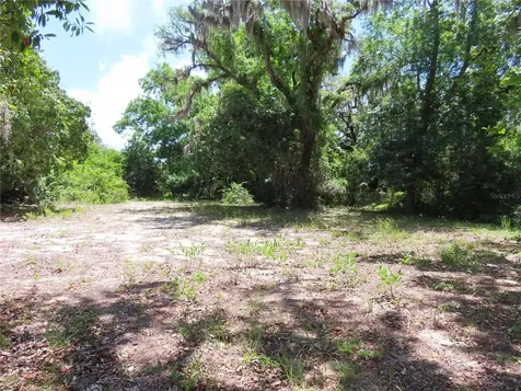 Mayo Crystal Beach FL 34681