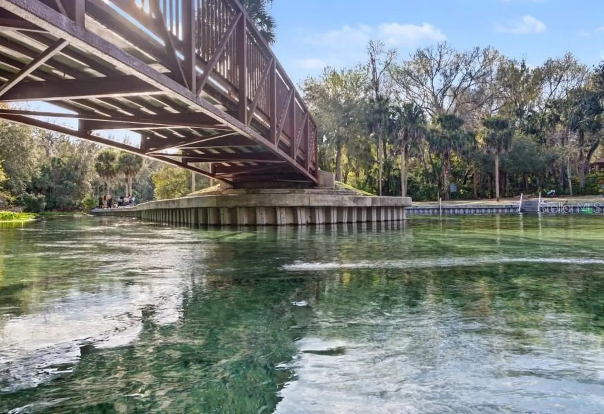 25647 Pine Valley Drive Sorrento FL 32776