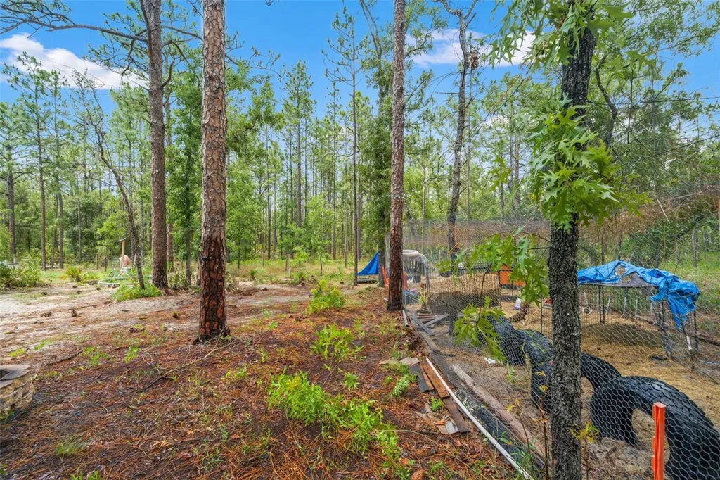 18336 Macek Road Weeki Wachee FL 34614
