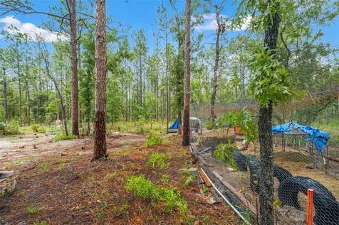 18336 Macek Road Weeki Wachee FL 34614