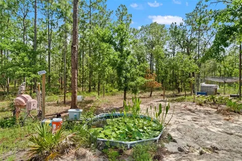 18336 Macek Road Weeki Wachee FL 34614