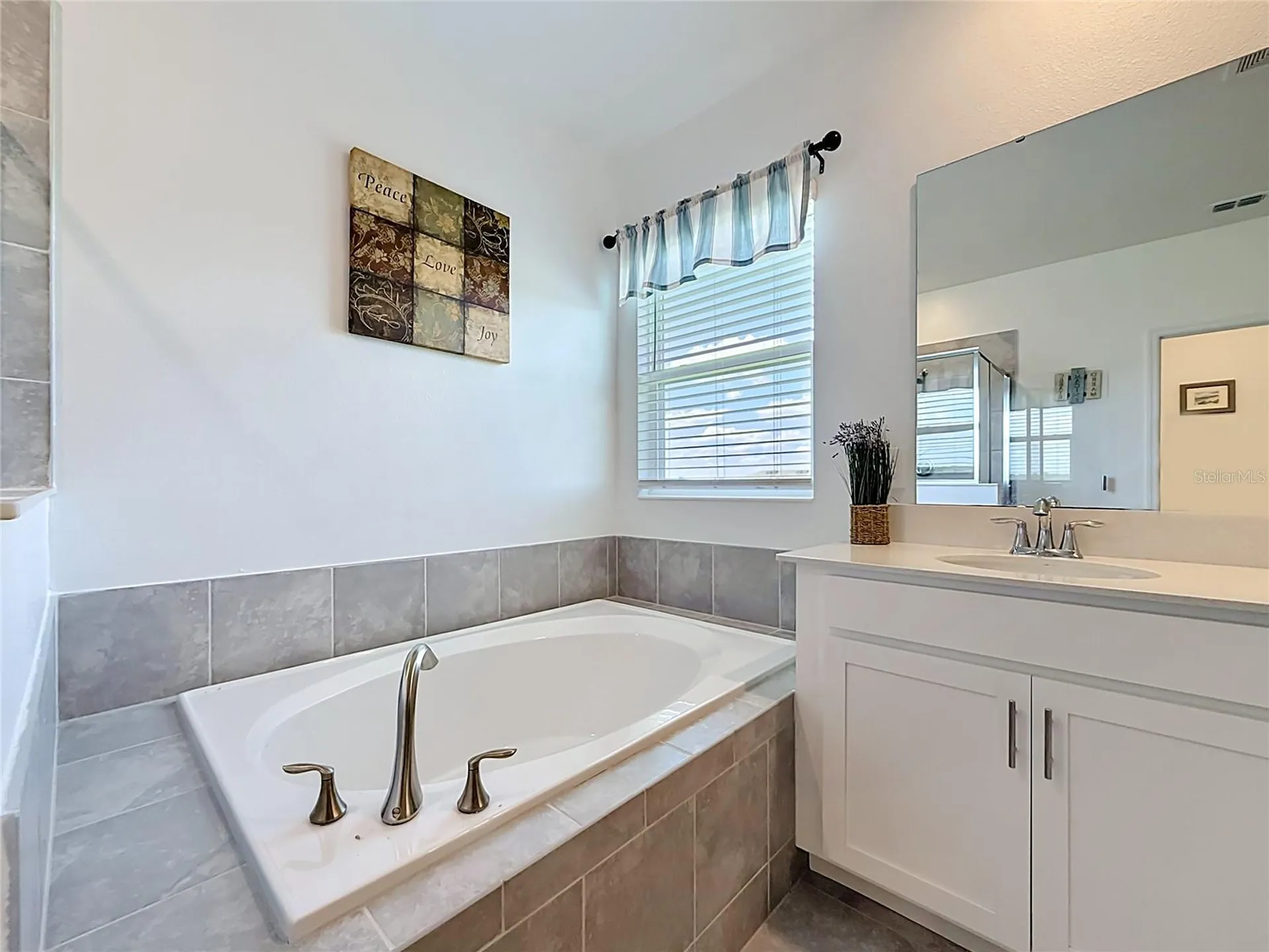 6013 Claystone Way Mount Dora FL 32757