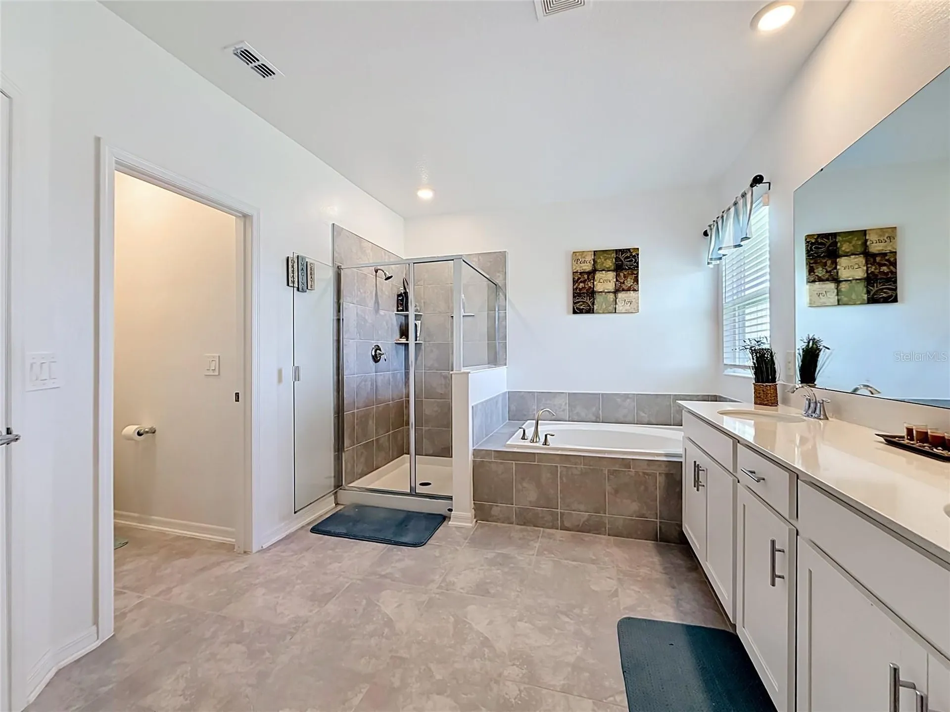 6013 Claystone Way Mount Dora FL 32757