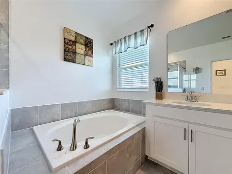 6013 Claystone Way Mount Dora FL 32757