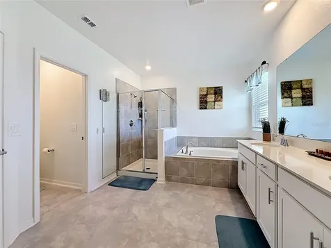 6013 Claystone Way Mount Dora FL 32757