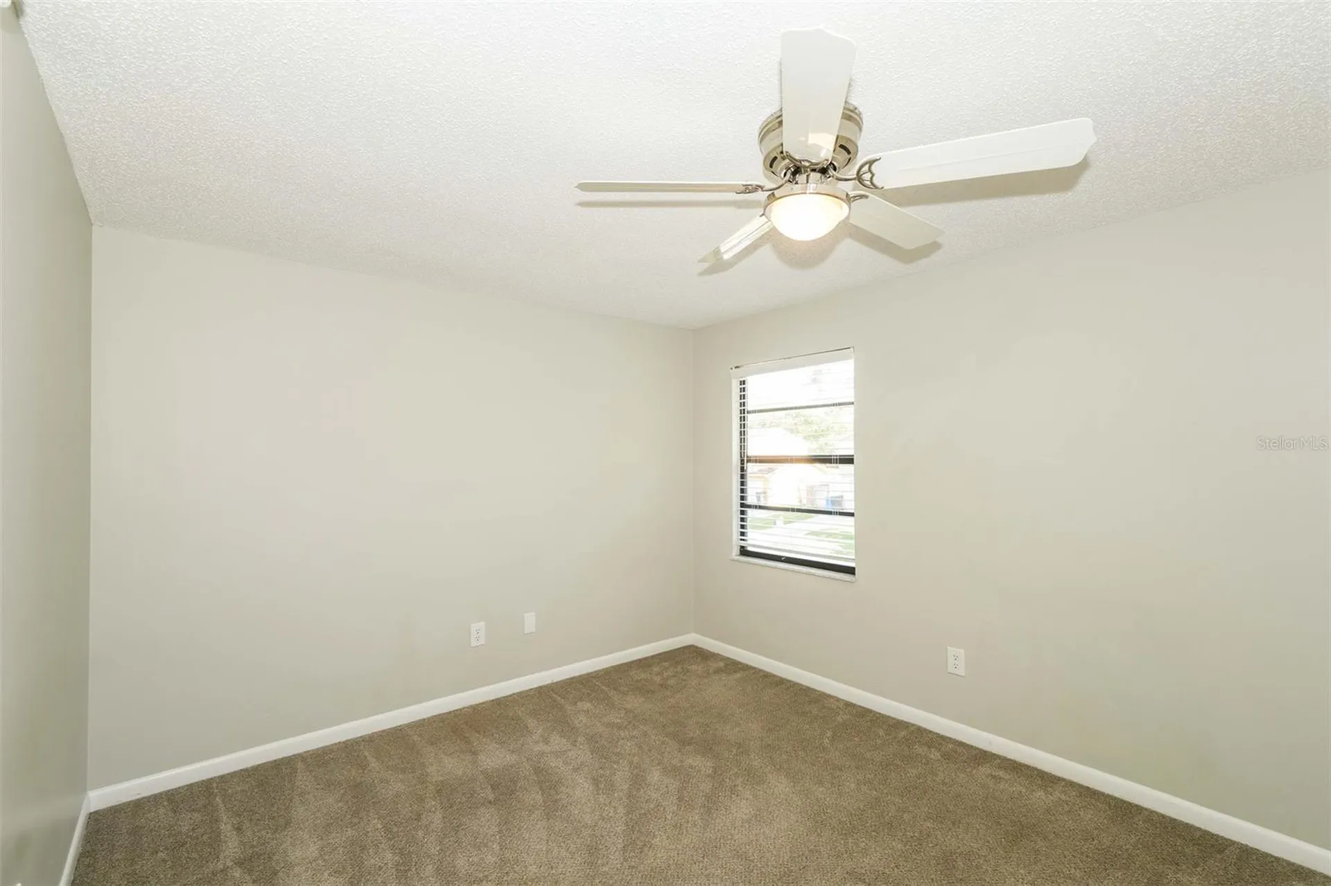 8229 Malvern Circle Tampa FL 33634