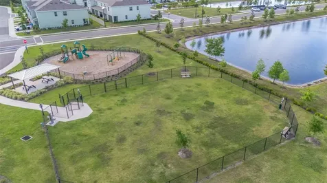17226 Amber Aspen Way Land O Lakes FL 34638