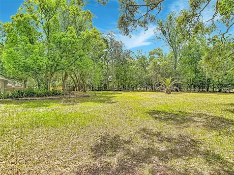 13206 Tyrone Street Hudson FL 34667
