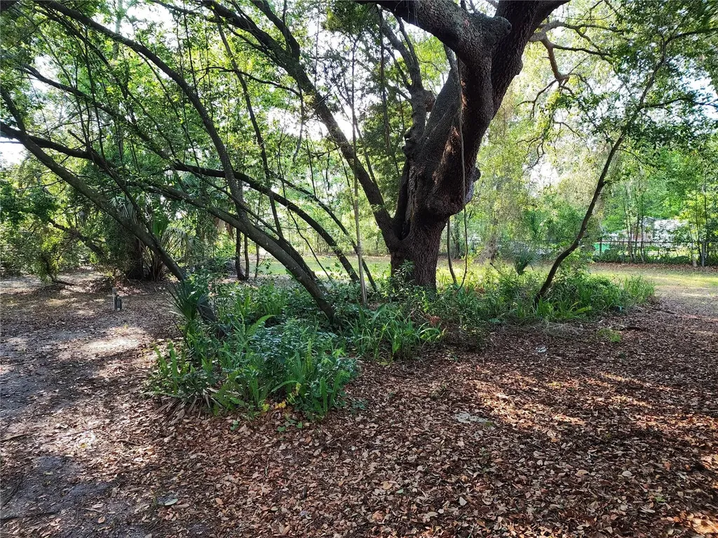 1006 Virginia Avenue Altamonte Springs FL 32701