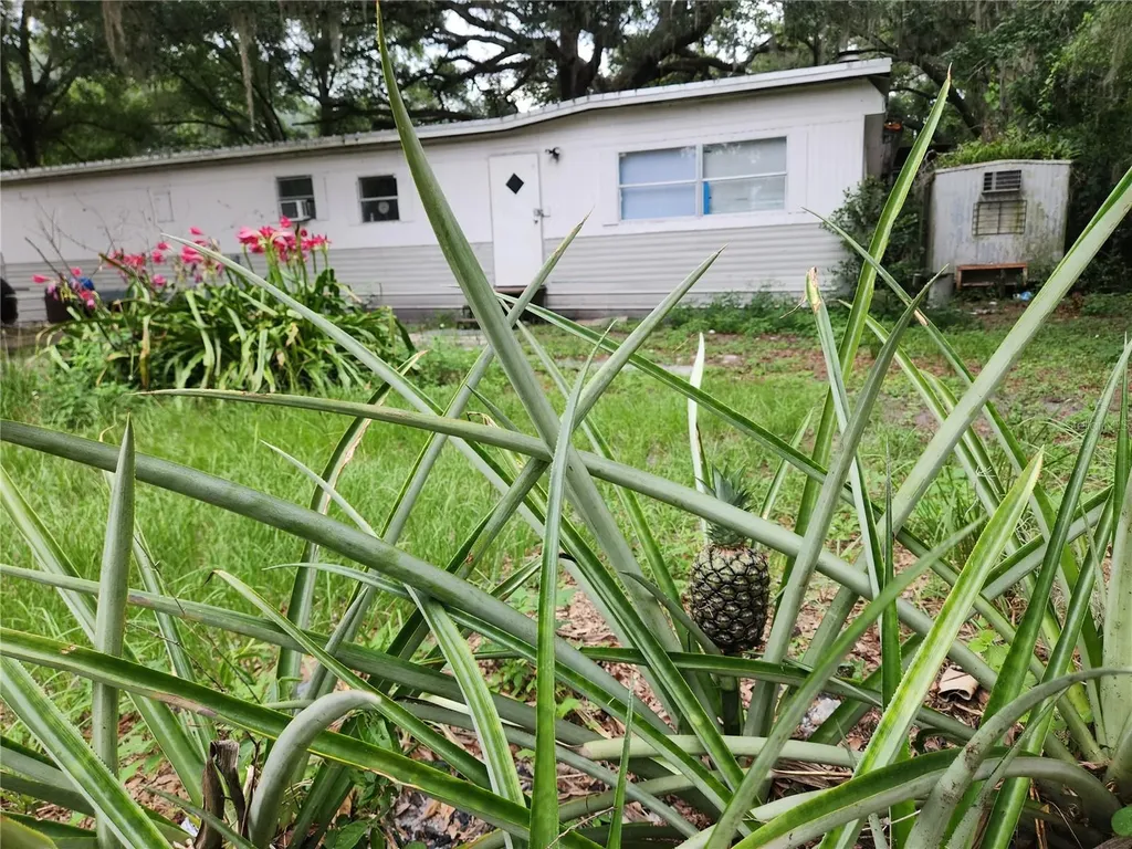 24815 Audrey Road Land O Lakes FL 34639