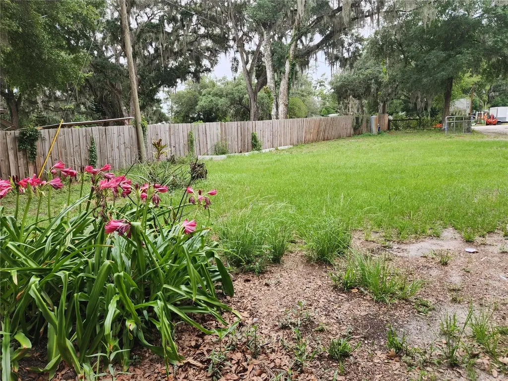 24815 Audrey Road Land O Lakes FL 34639