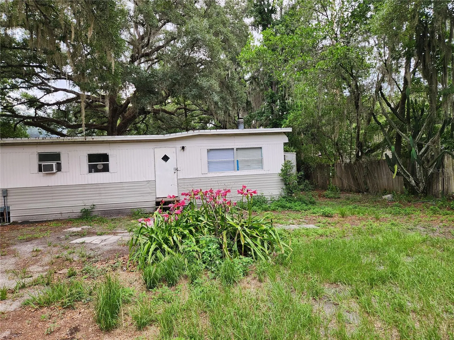 24815 Audrey Road Land O Lakes FL 34639