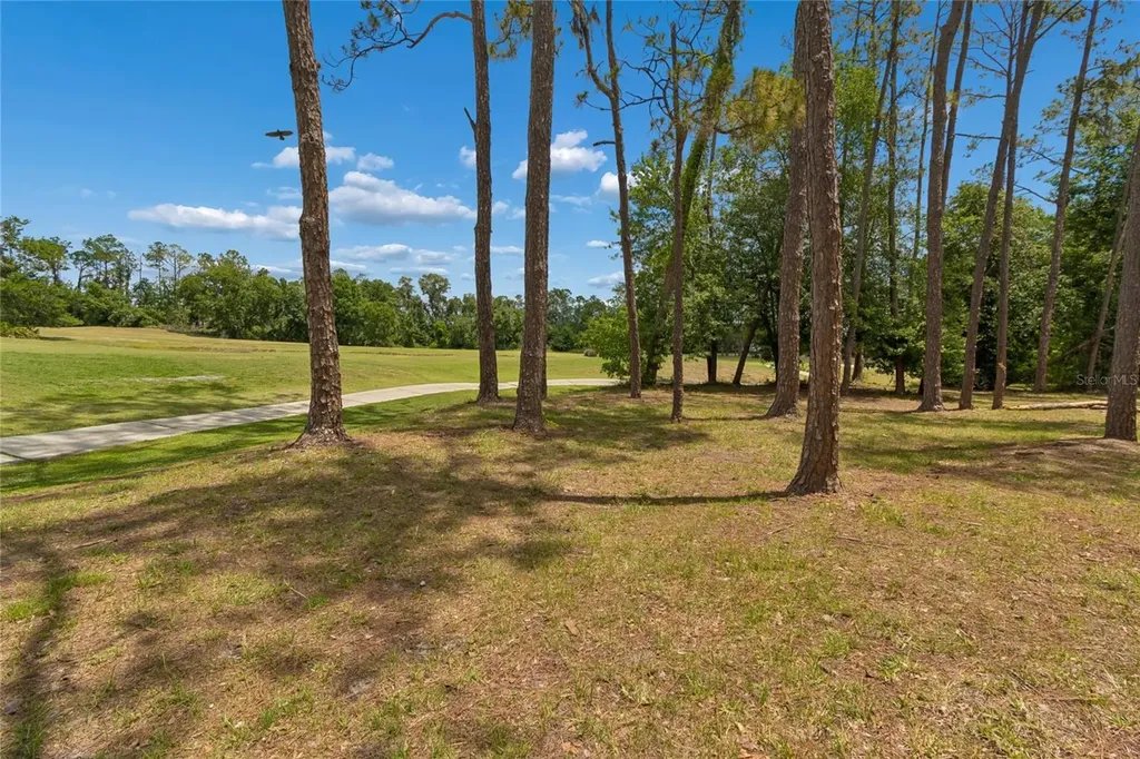 34821 Turnbury Court Zephyrhills FL 33541