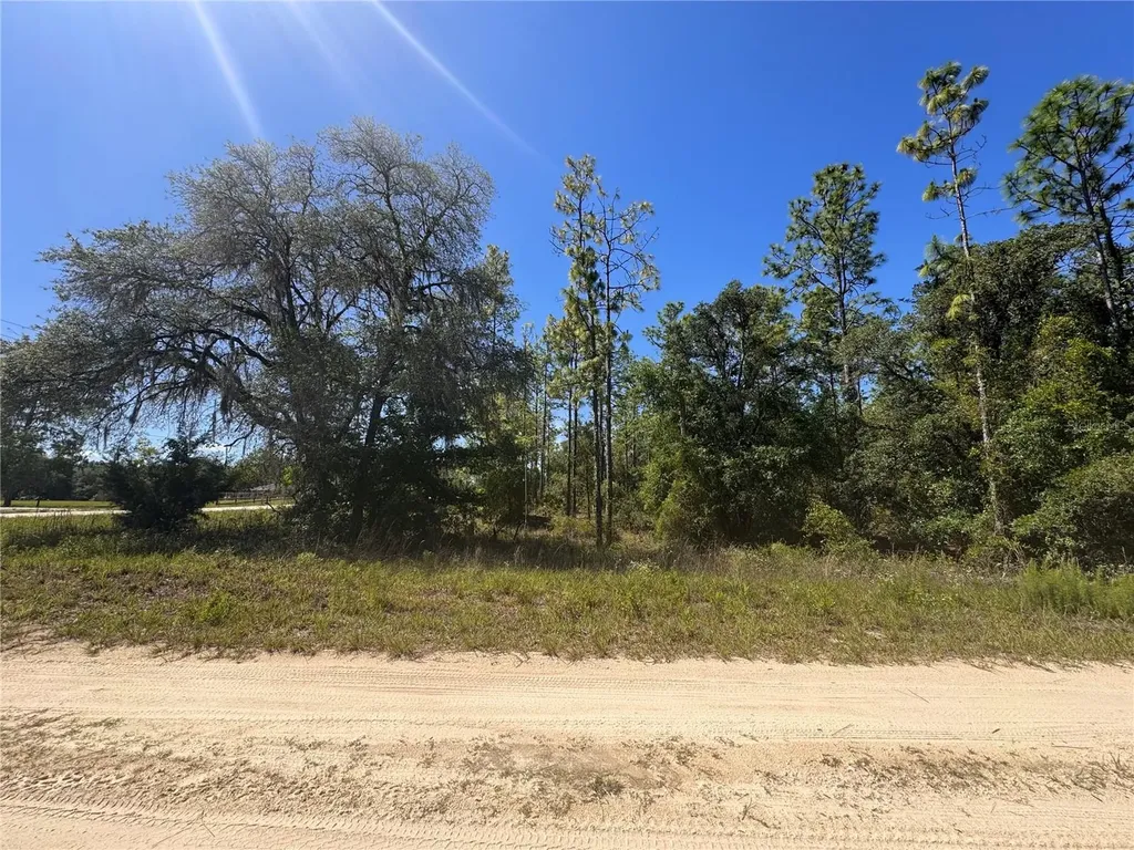 0 SW 56th Lane Ocala FL 34481