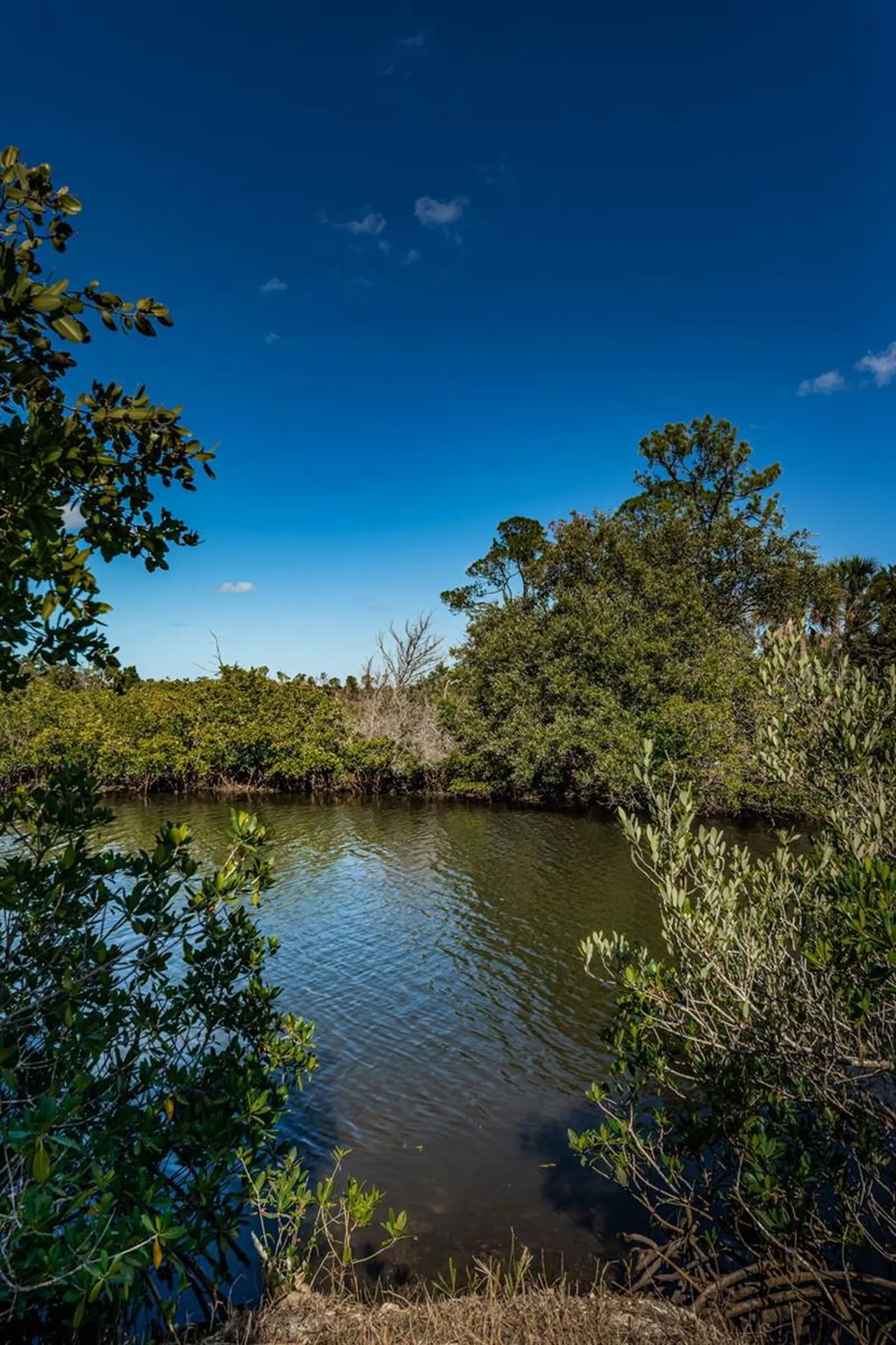 0 San Sierra Way Port Richey FL 34668