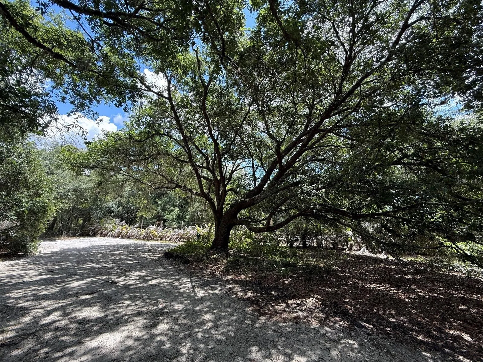 18561 NW 306th Street Okeechobee FL 34972