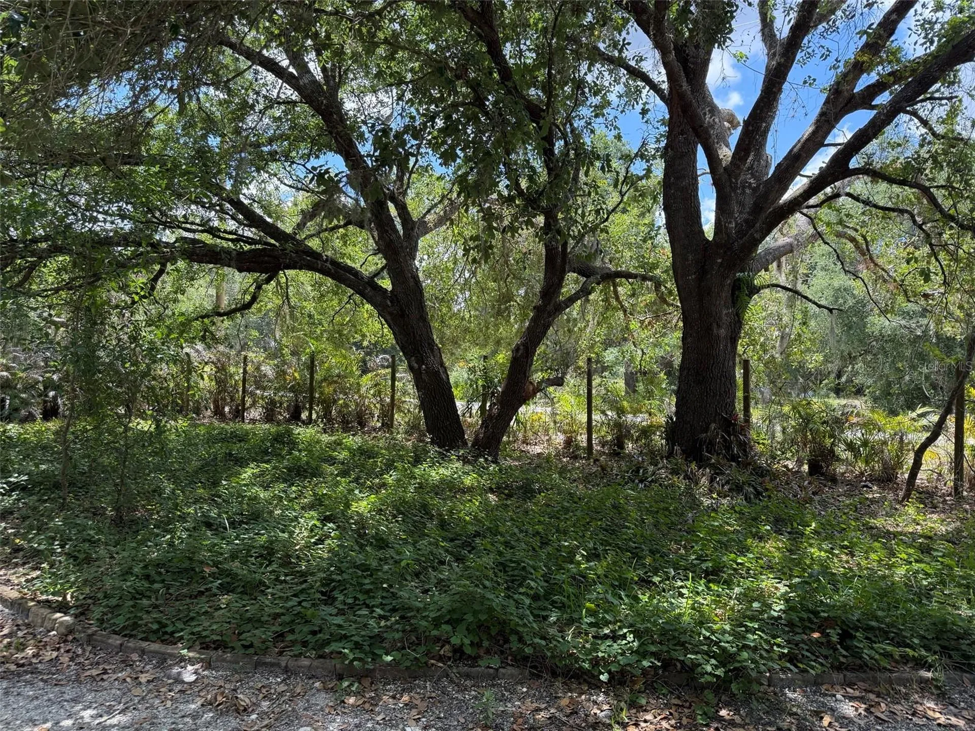 18561 NW 306th Street Okeechobee FL 34972