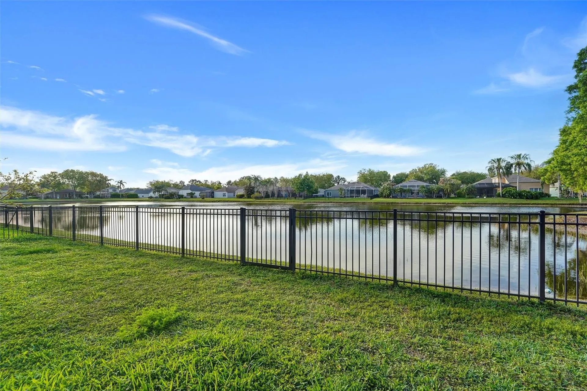 19111 Fern Meadow Loop Lutz FL 33558