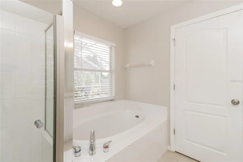 21034 Green Wing Court Land O Lakes FL 34637
