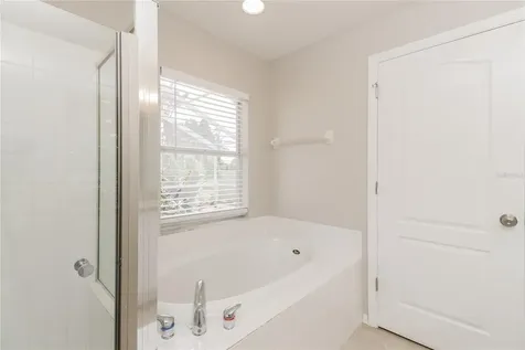 21034 Green Wing Court Land O Lakes FL 34637