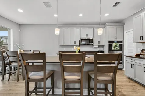 7241 Notched Pine Bend Wesley Chapel FL 33545