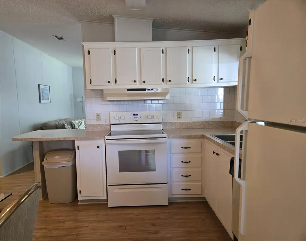 4007 Cohen Drive Zellwood FL 32798