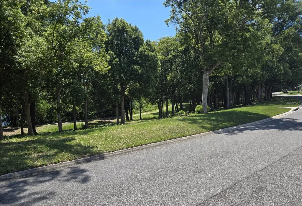 4007 Cohen Drive Zellwood FL 32798