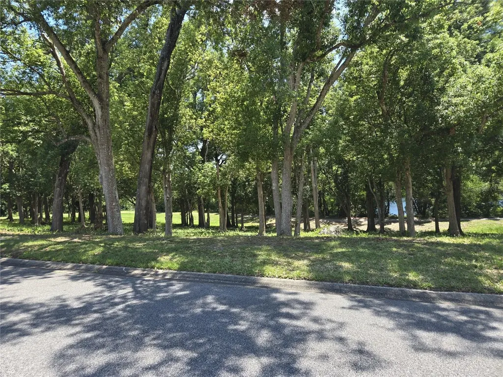 4007 Cohen Drive Zellwood FL 32798