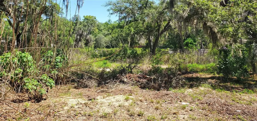 11939 Bemont Avenue New Port Richey FL 34654