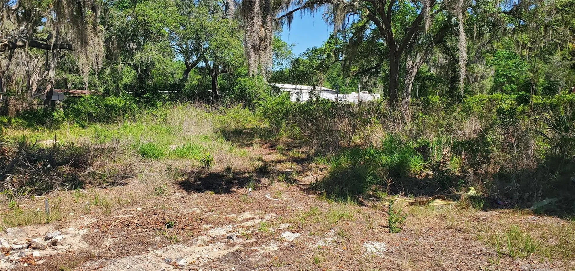 11939 Bemont Avenue New Port Richey FL 34654