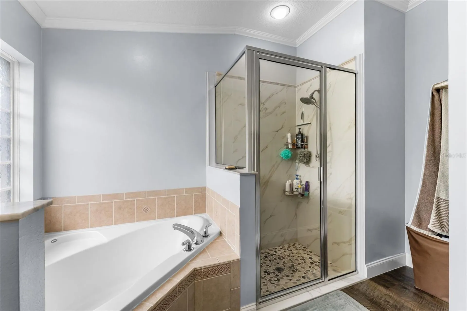10161 SE 67th Terrace Belleview FL 34420