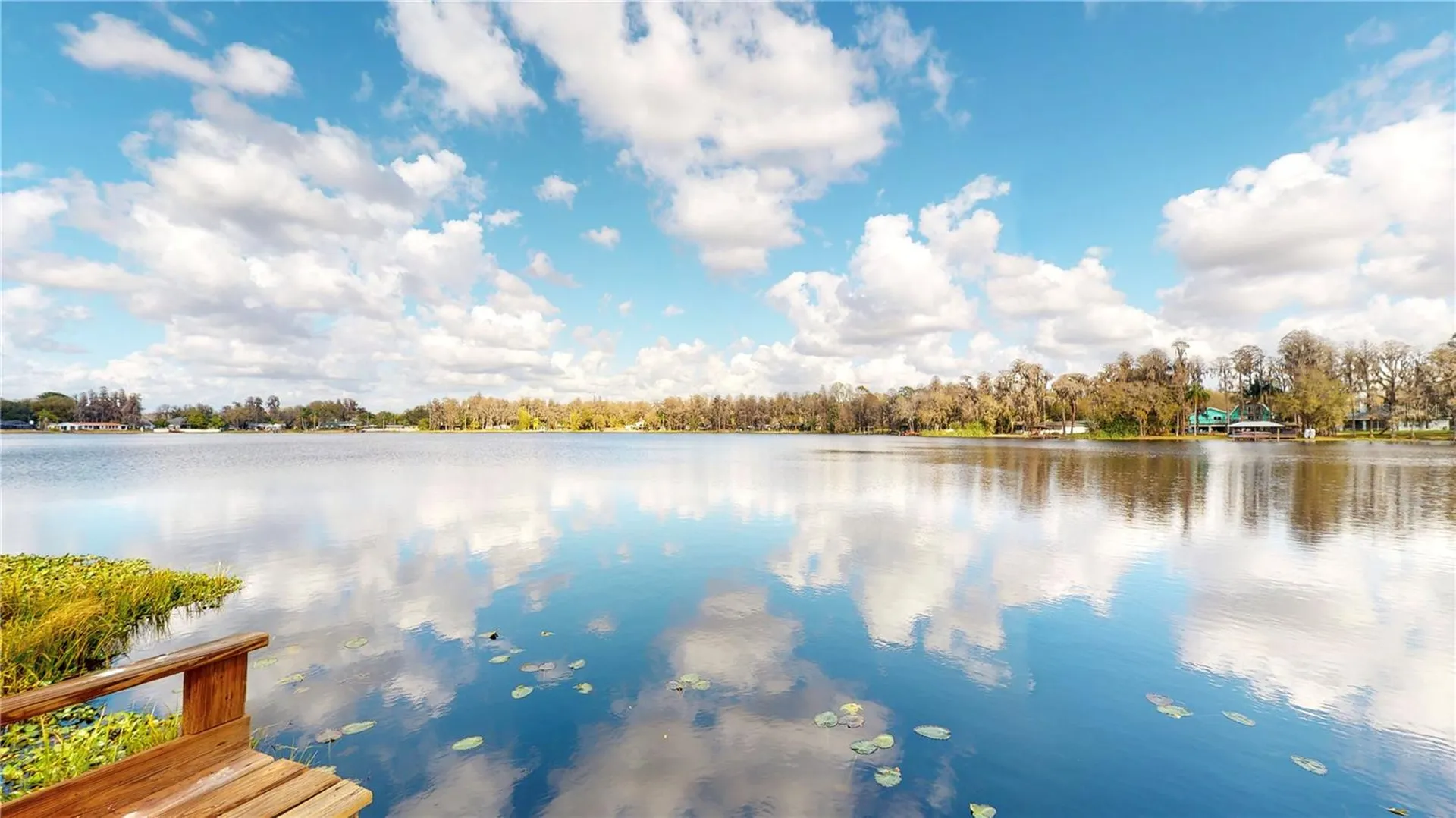 19803 Reading Road Lutz FL 33558