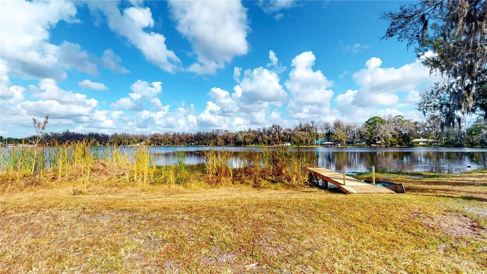 19803 Reading Road Lutz FL 33558