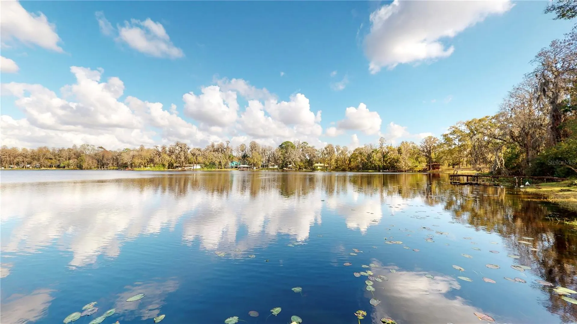 19803 Reading Road Lutz FL 33558