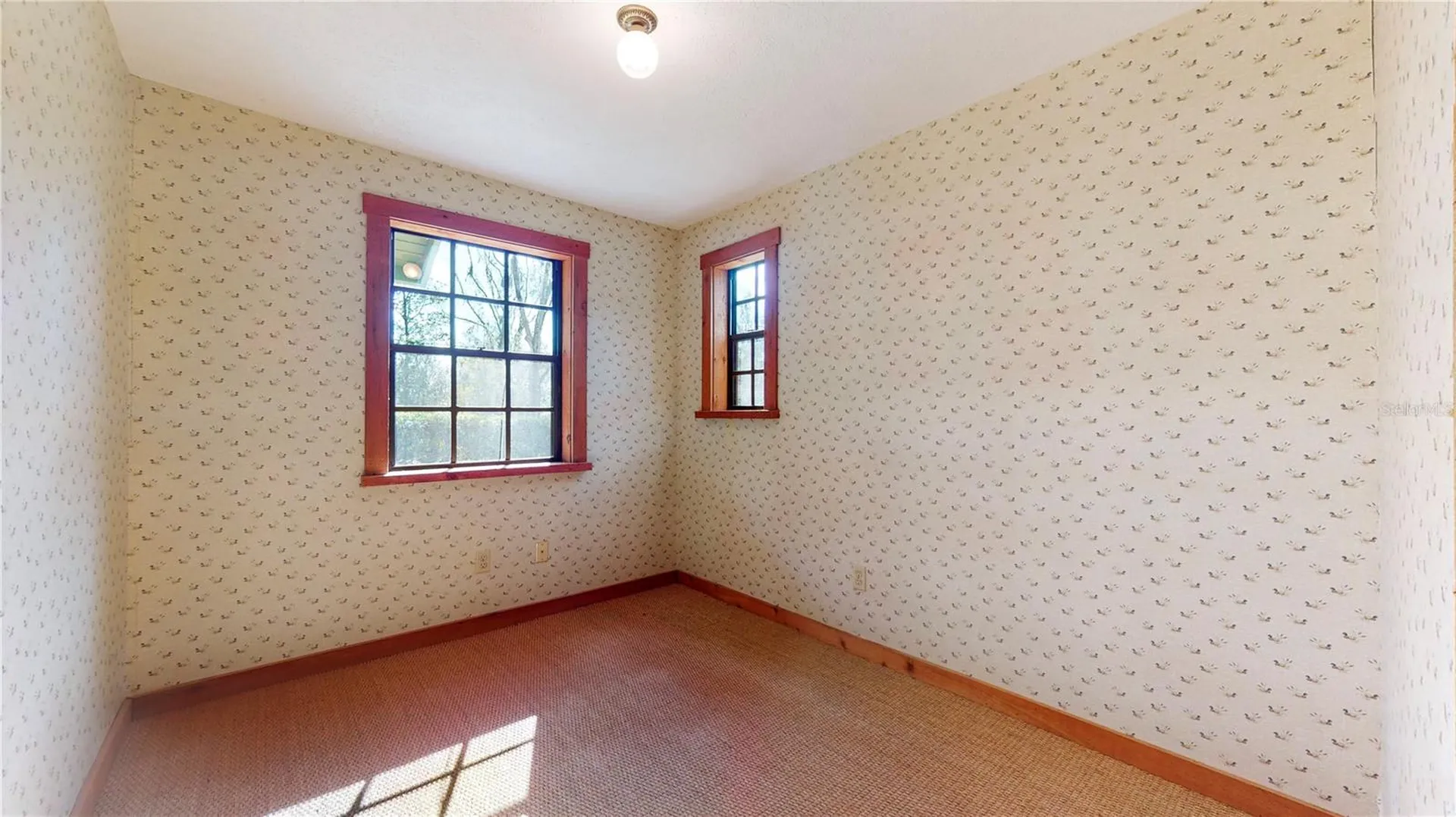 19803 Reading Road Lutz FL 33558