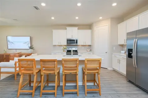 11367 Cay Spruce Way San Antonio FL 33576