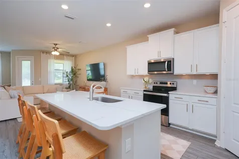 11367 Cay Spruce Way San Antonio FL 33576