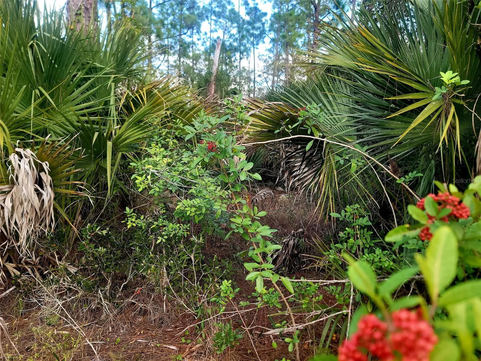 141 Naples Avenue S Lehigh Acres FL 33974