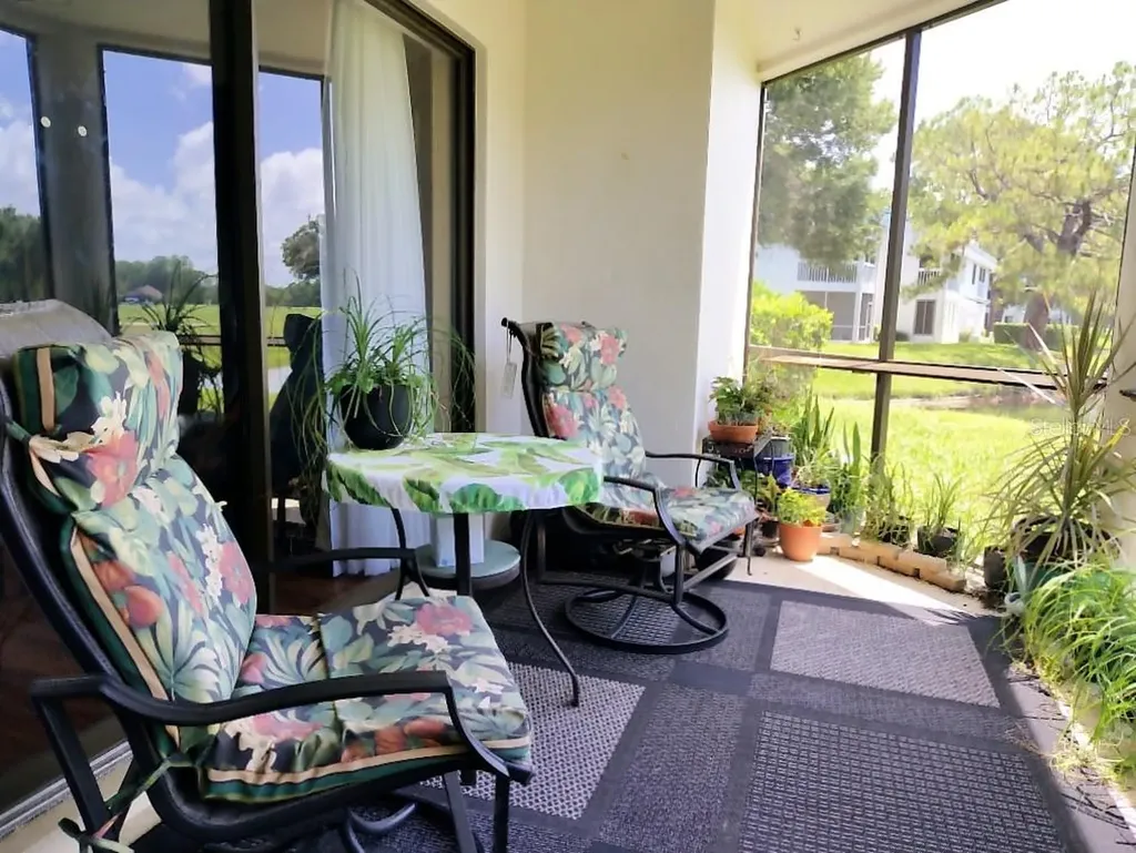 3549 Indigo Pond Drive Palm Harbor FL 34685