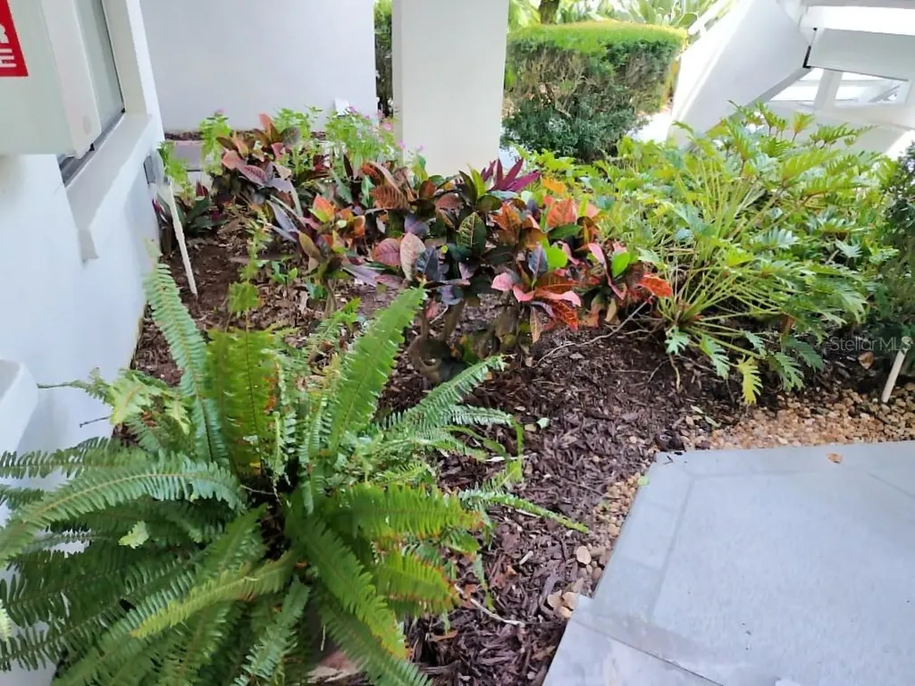 3549 Indigo Pond Drive Palm Harbor FL 34685