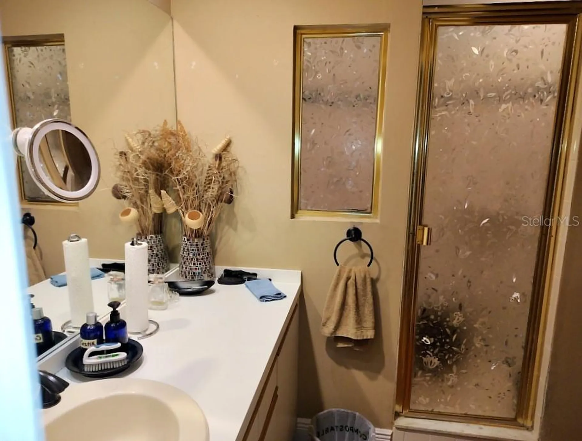 3549 Indigo Pond Drive Palm Harbor FL 34685