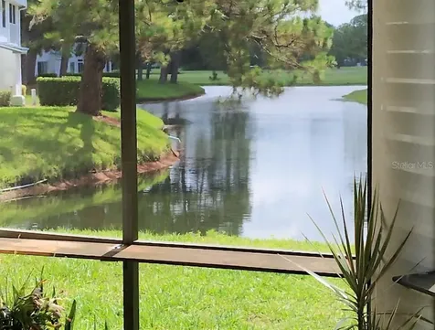 3549 Indigo Pond Drive Palm Harbor FL 34685