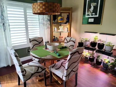 3549 Indigo Pond Drive Palm Harbor FL 34685