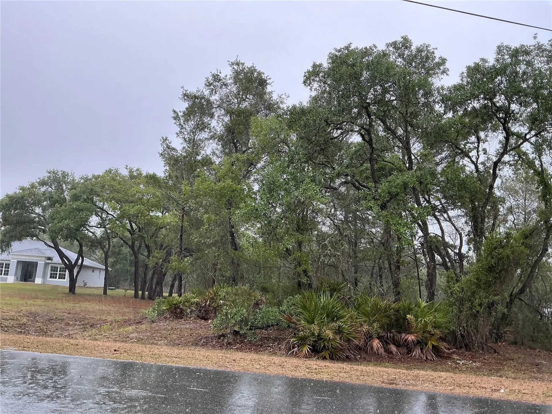 10353 Meadow Wren Avenue Weeki Wachee FL 34613