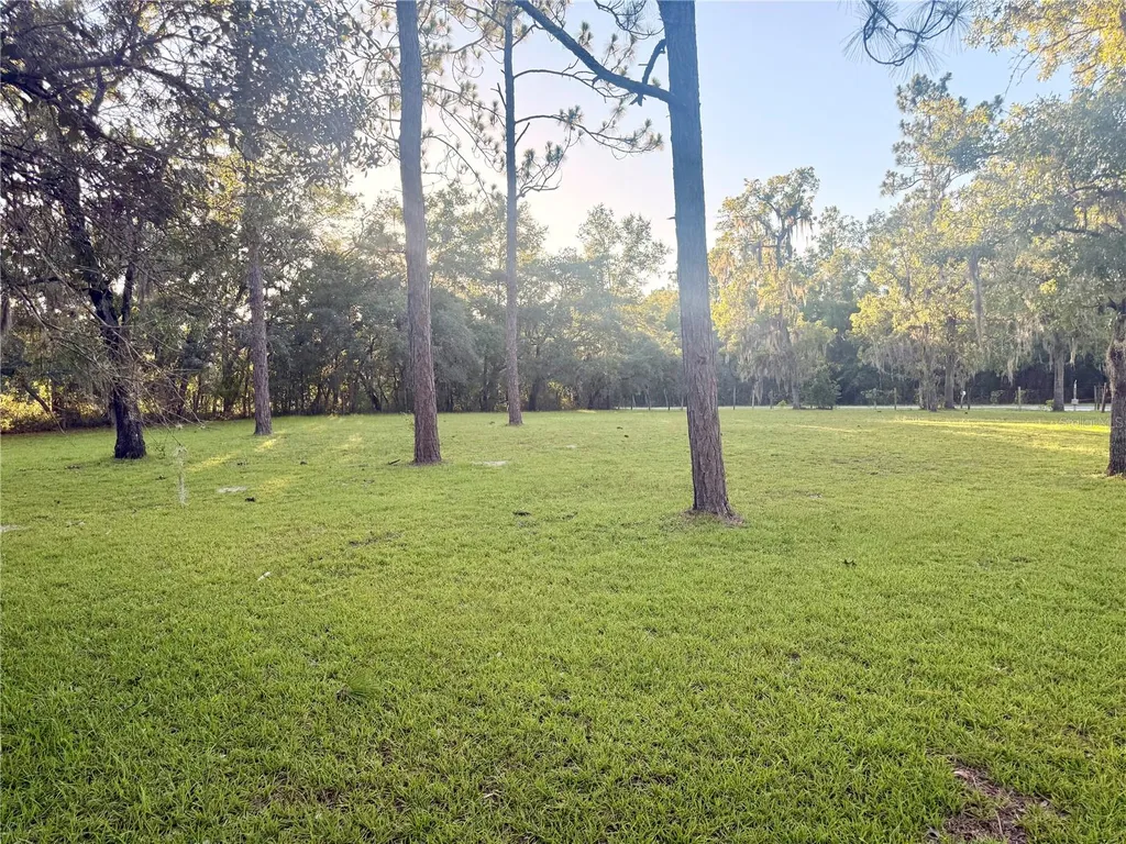 7561 SE 120th Court Morriston FL 32668