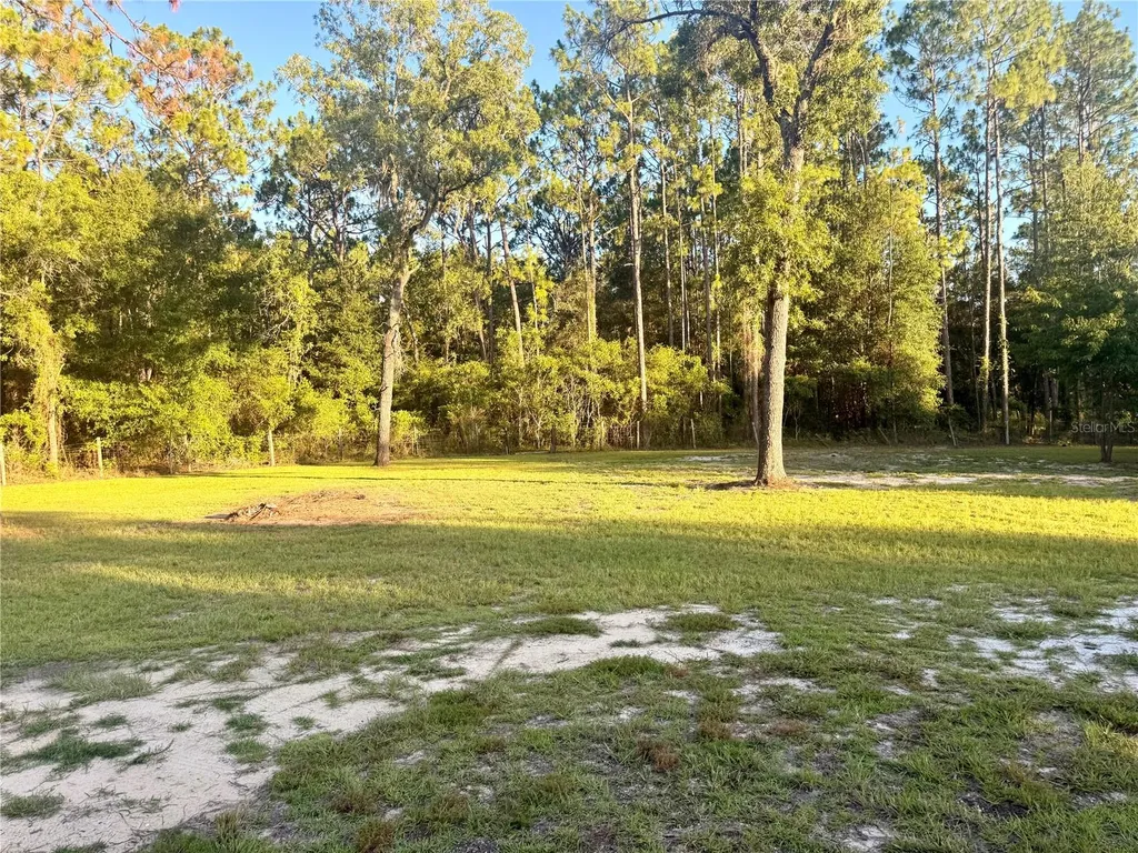7561 SE 120th Court Morriston FL 32668