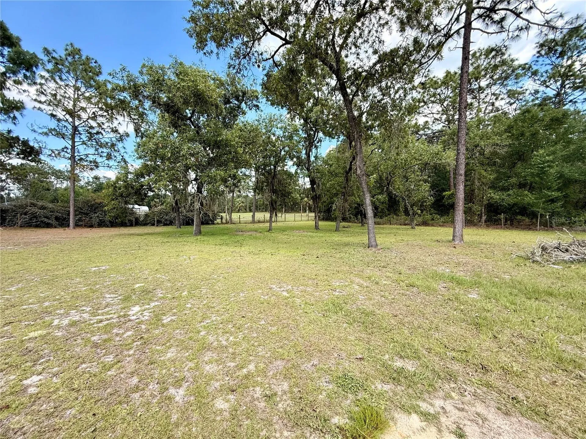 7561 SE 120th Court Morriston FL 32668