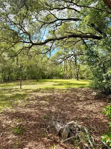 7561 SE 120th Court Morriston FL 32668