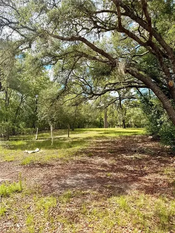 7561 SE 120th Court Morriston FL 32668